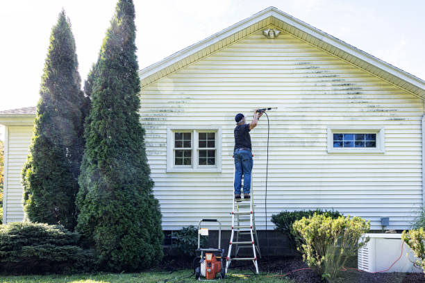 Best Driveway Pressure Washing  in East Franklin, NJ